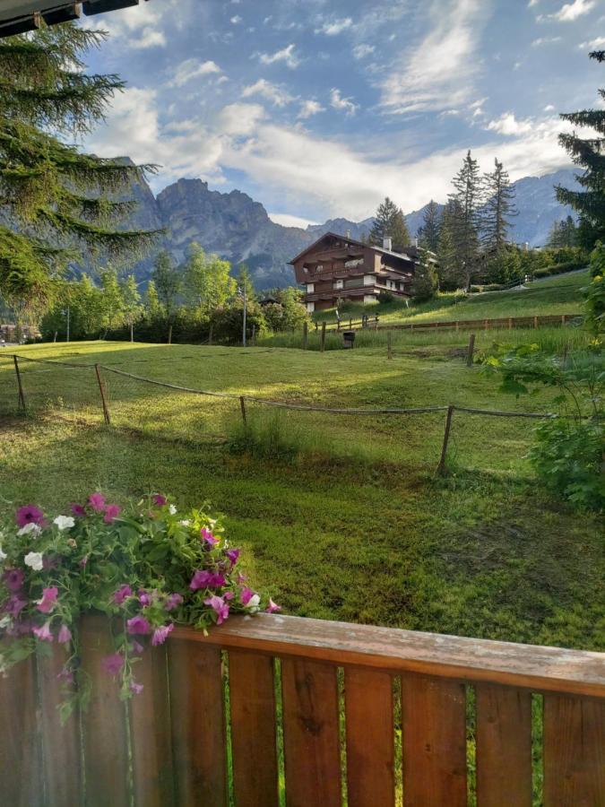 Appartamento Cortina 1956 Cortina dʼAmpezzo Extérieur photo